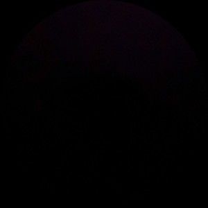 Meet your Posher, Johanna